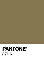 pantone 871